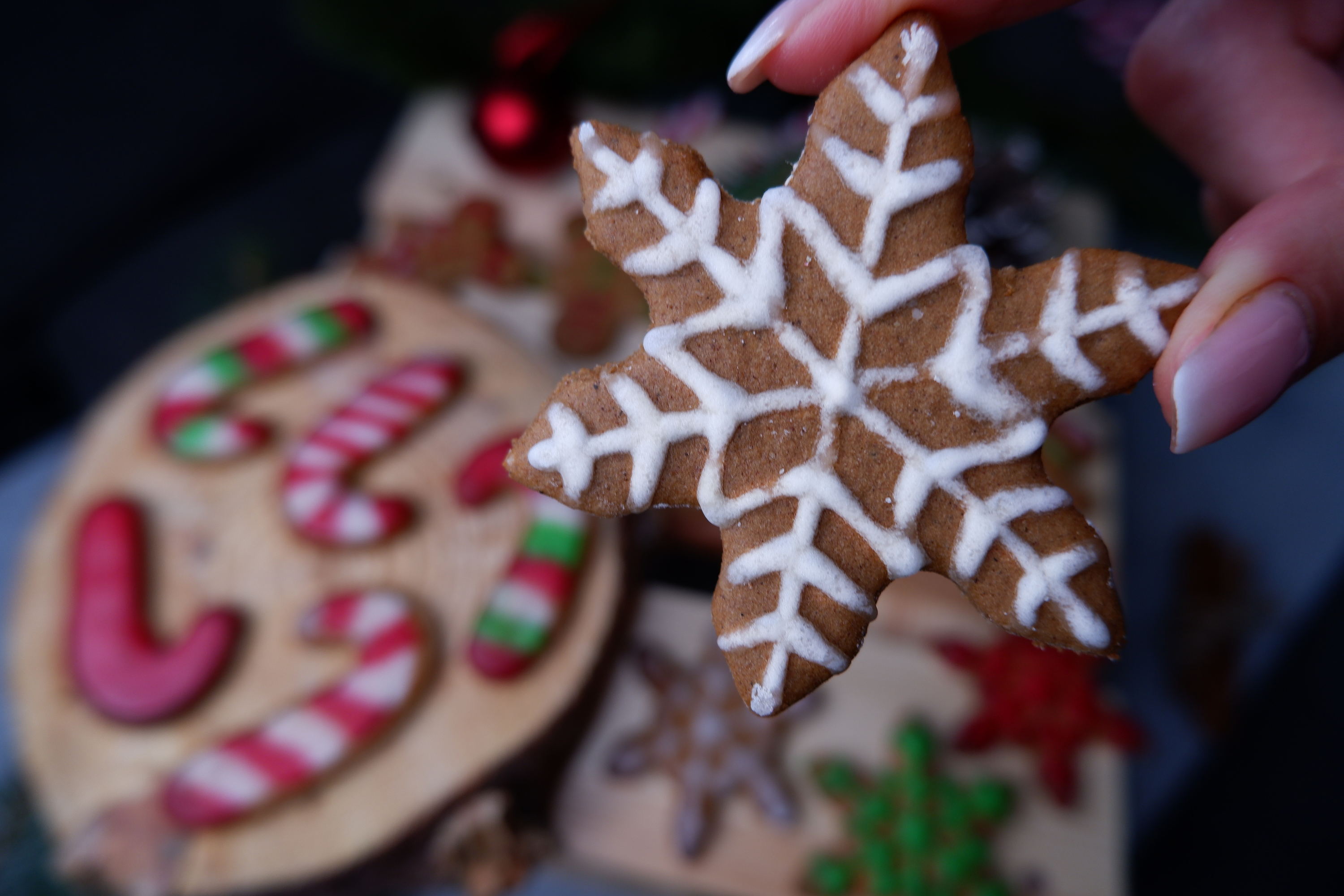 Healthy gingerbread cookies, xylitol healthy icing