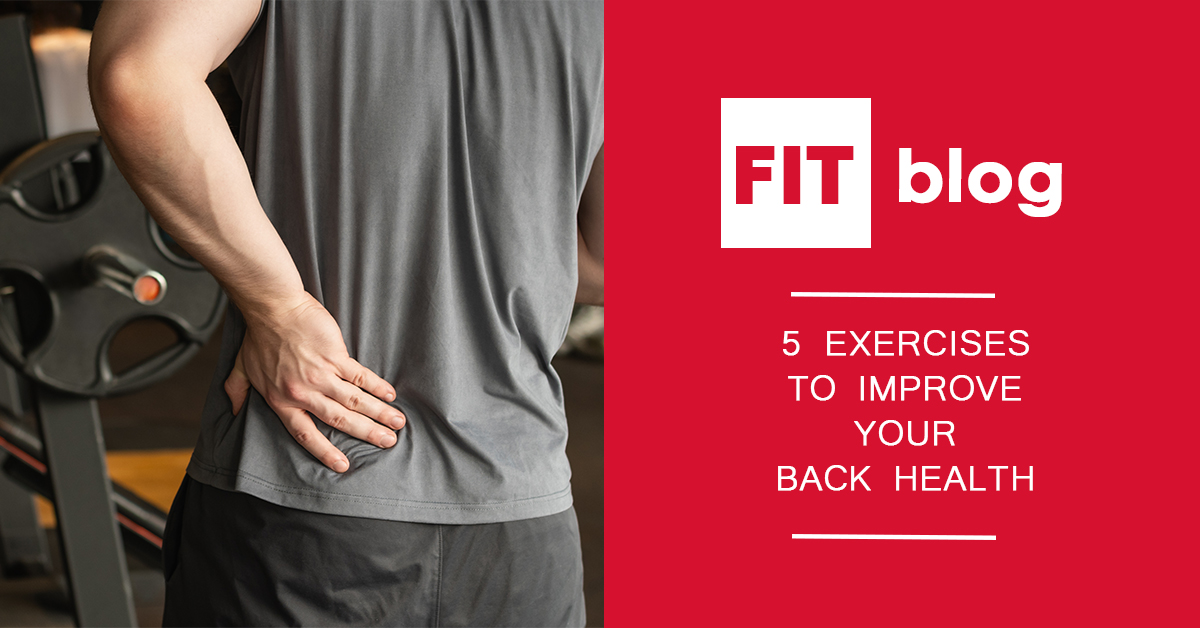 Feature image for the blog: 5 Exercises to Improve Your Back Health