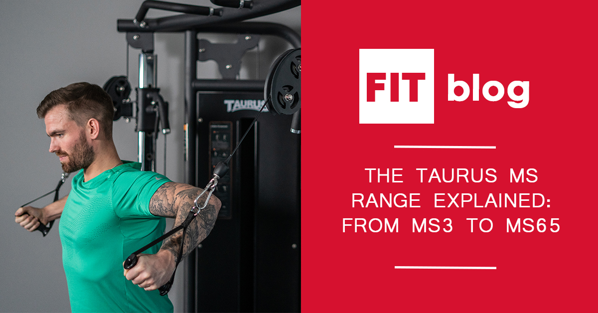 Feature image for the blog: The Taurus MS Range Explained: From MS3 to MS65