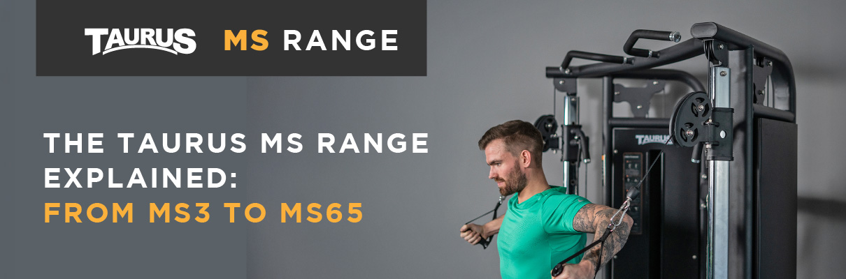 Overview of the Taurus MS Multi Smith range from MS3 to MS65.